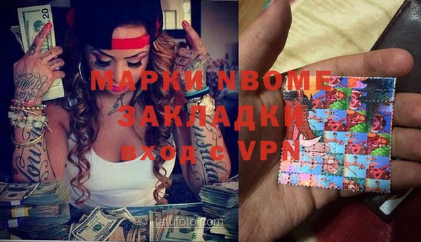 прущие грибы Касимов