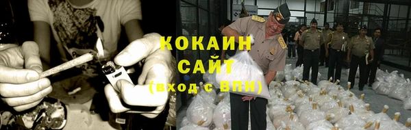 прущие грибы Касимов