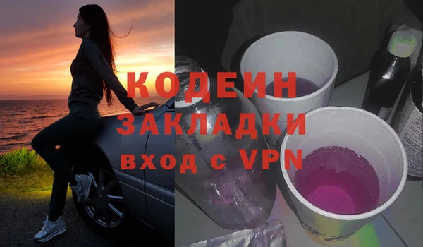 прущие грибы Касимов