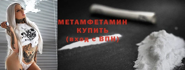 прущие грибы Касимов
