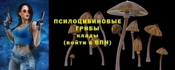 прущие грибы Касимов