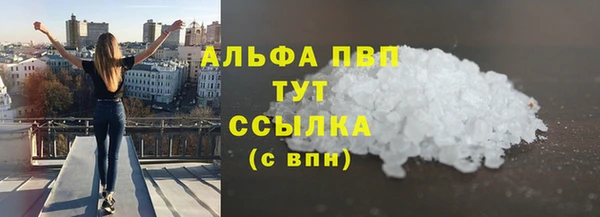прущие грибы Касимов
