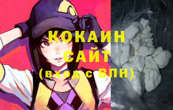 прущие грибы Касимов