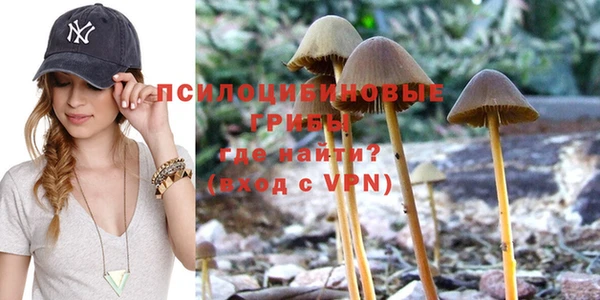 прущие грибы Касимов