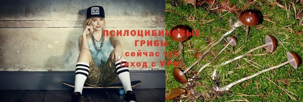 прущие грибы Касимов