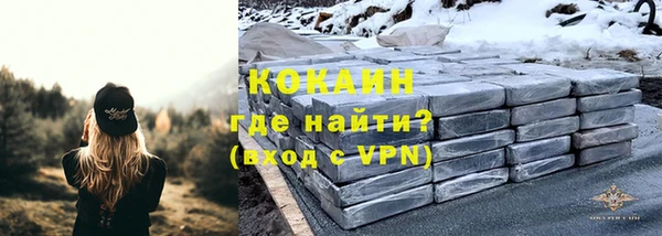 прущие грибы Касимов
