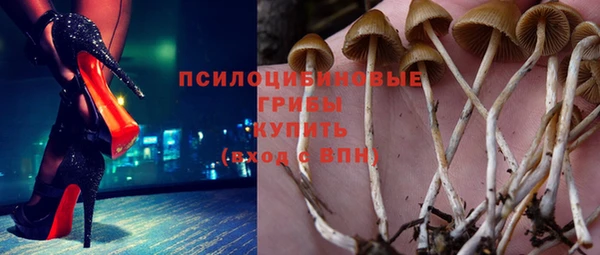 гидропоника Карталы