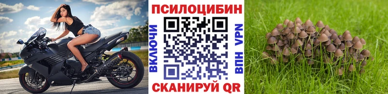 Купить где  Татарск  Галлюциногенные грибы мицелий 
